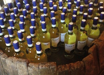 bottiglie-vino-tollena