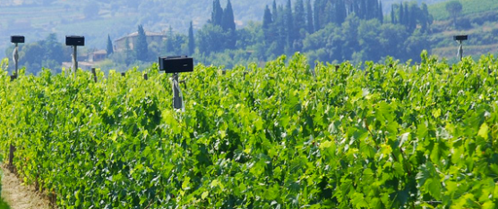 Schermata-2014-10-03-alle-02.47.37