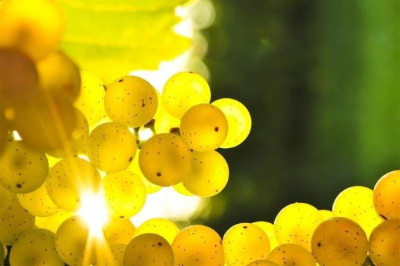 5fccdd4806e98787dd8064f7f694029a