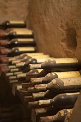 7b4a2a15d219cce23365eeefb08cd63d