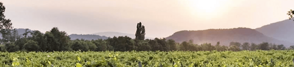 Schermata 2018-03-01 alle 10.58.04.png