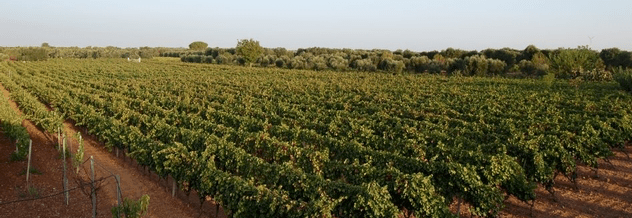 Schermata 2018-03-06 alle 14.40.39