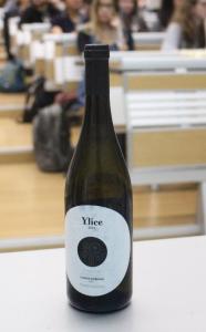 WhatsApp Image 2019-03-02 at 19.18.38