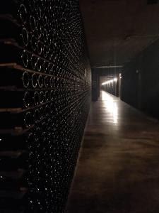 WhatsApp Image 2019-12-05 at 17.12.21